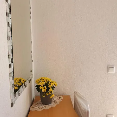 Ivan Rogoznica (Sibenik-Knin)