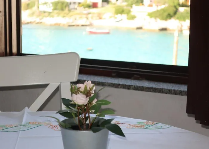 Ivan * Rogoznica (Sibenik-Knin)